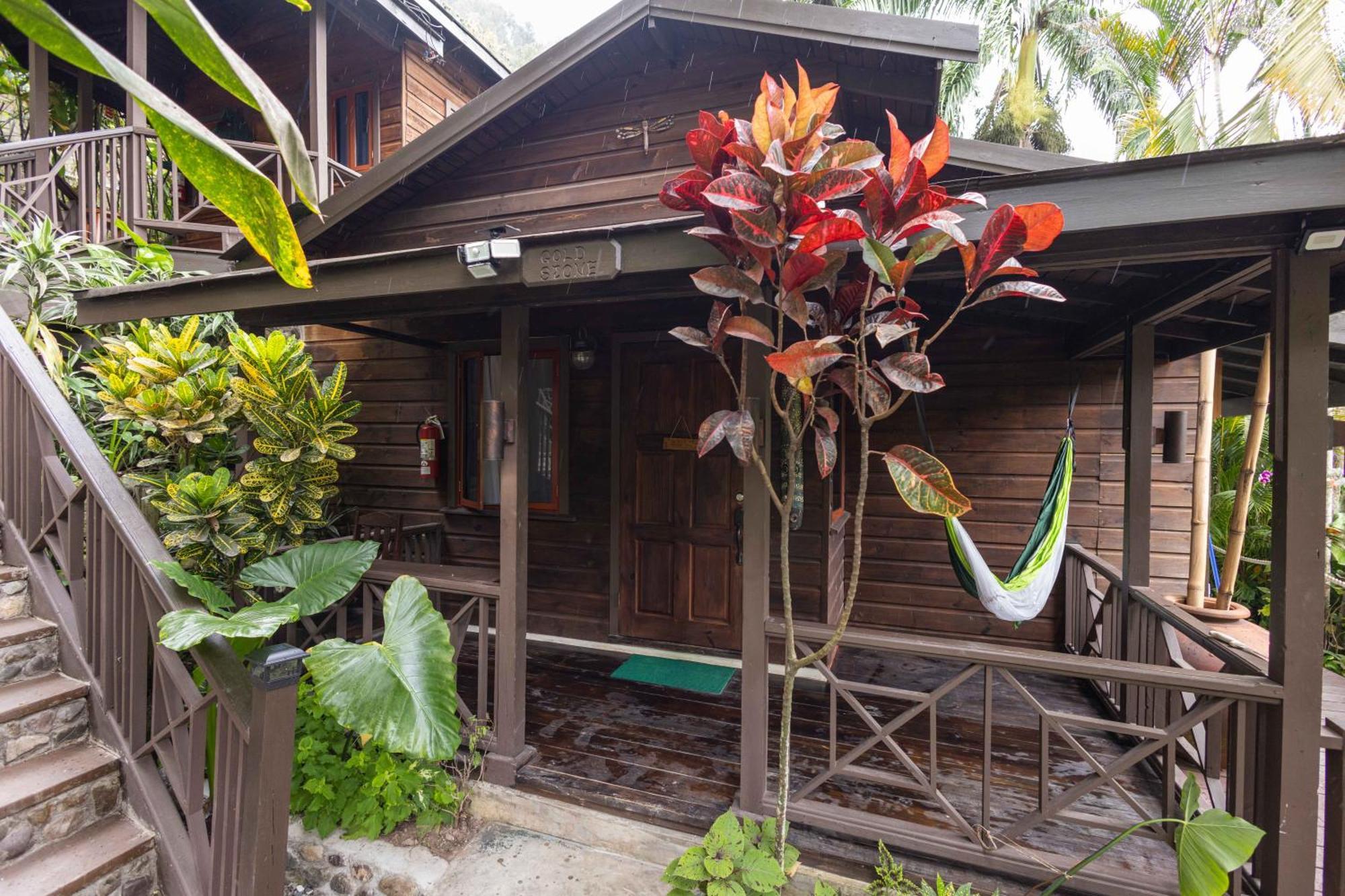 Serendipity Holistic Resort Spa คิงส์ตัน ภายนอก รูปภาพ