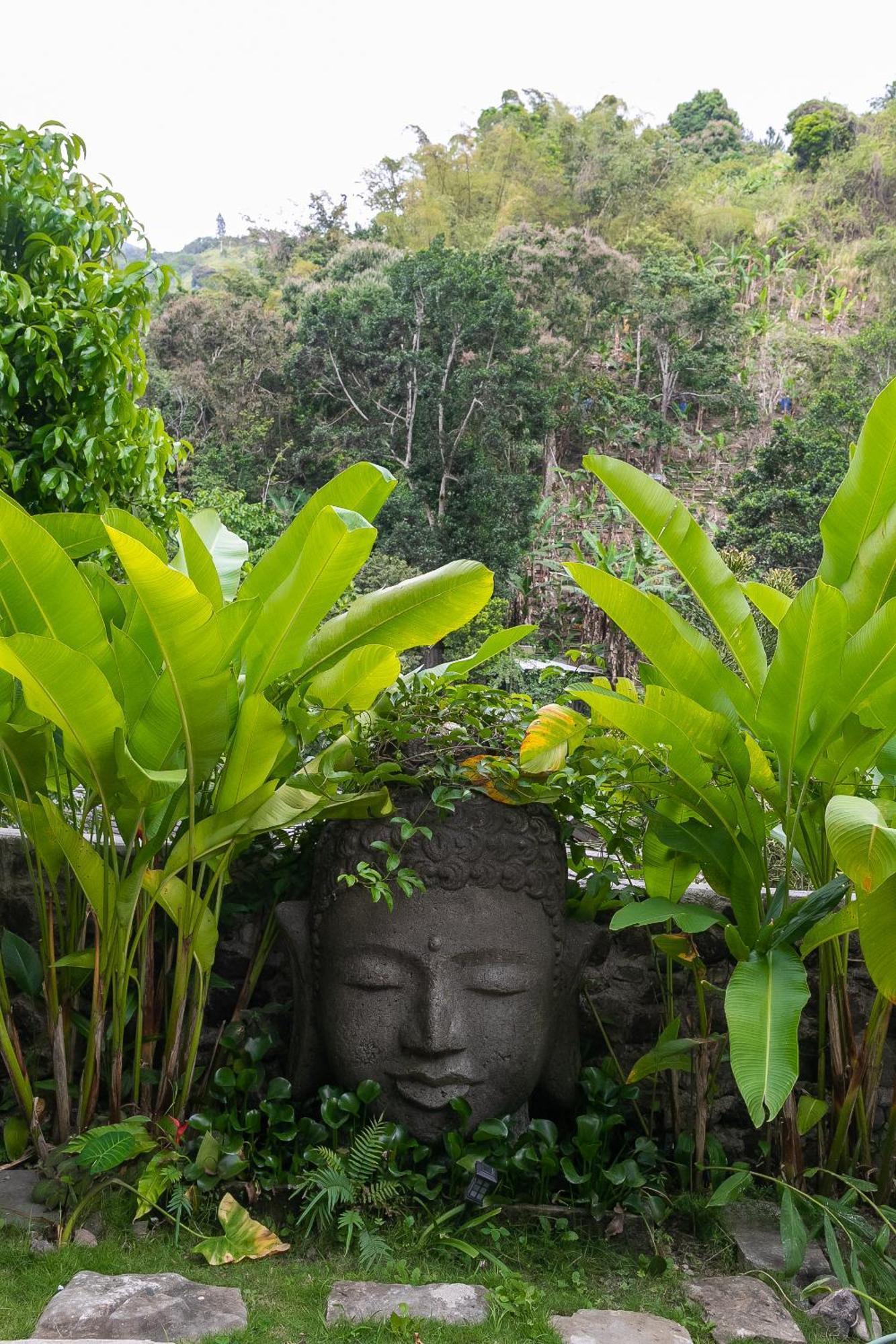 Serendipity Holistic Resort Spa คิงส์ตัน ภายนอก รูปภาพ