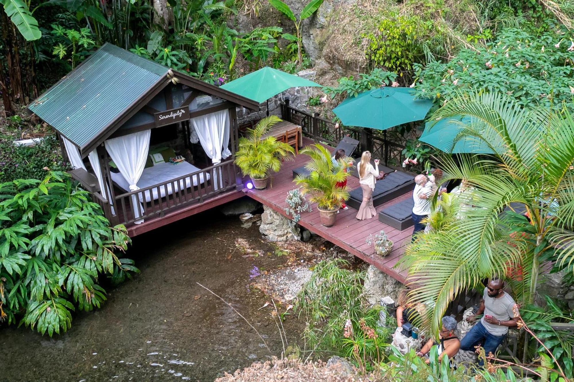 Serendipity Holistic Resort Spa คิงส์ตัน ภายนอก รูปภาพ